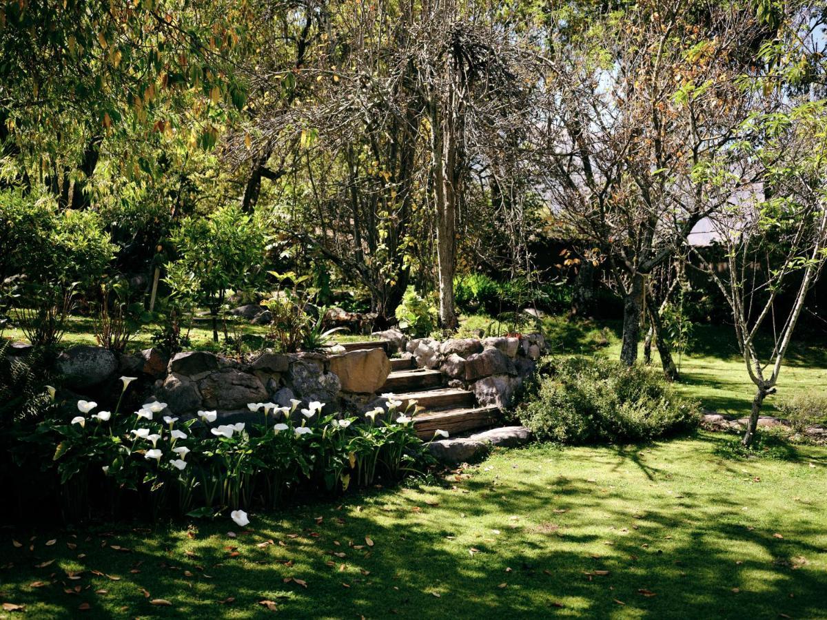 Andenia Boutique Hotel, Sacred Valley Urubamba Eksteriør bilde