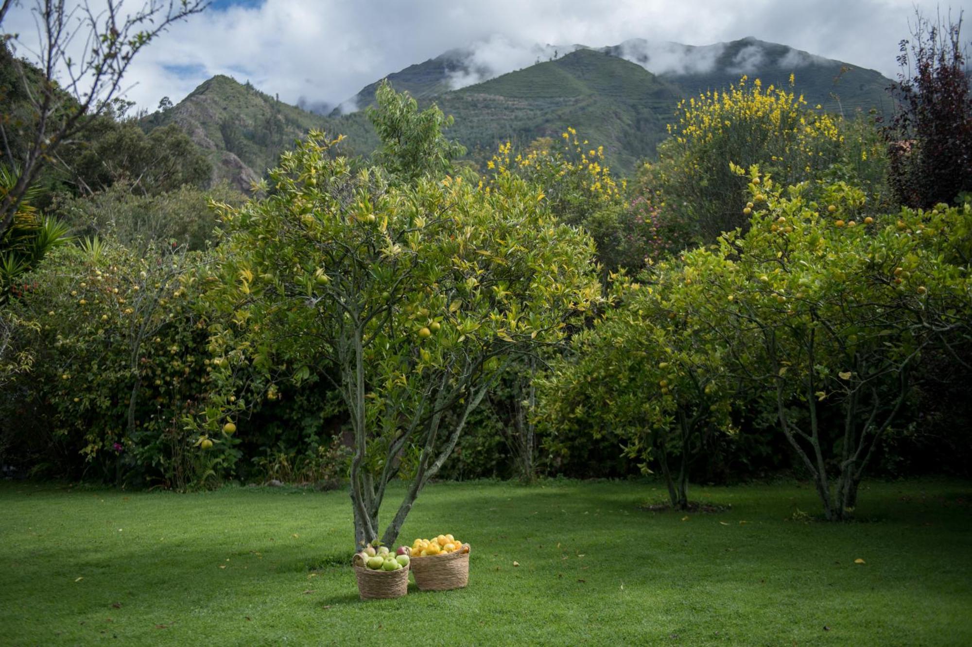 Andenia Boutique Hotel, Sacred Valley Urubamba Eksteriør bilde