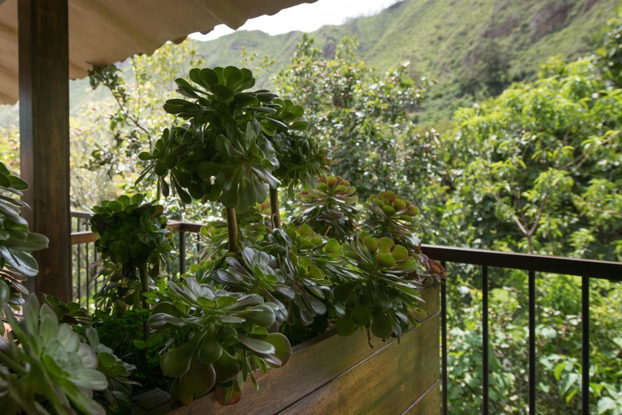 Andenia Boutique Hotel, Sacred Valley Urubamba Eksteriør bilde